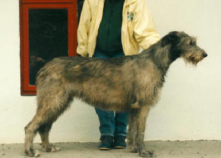 Bearnabui Image of Knocknarea